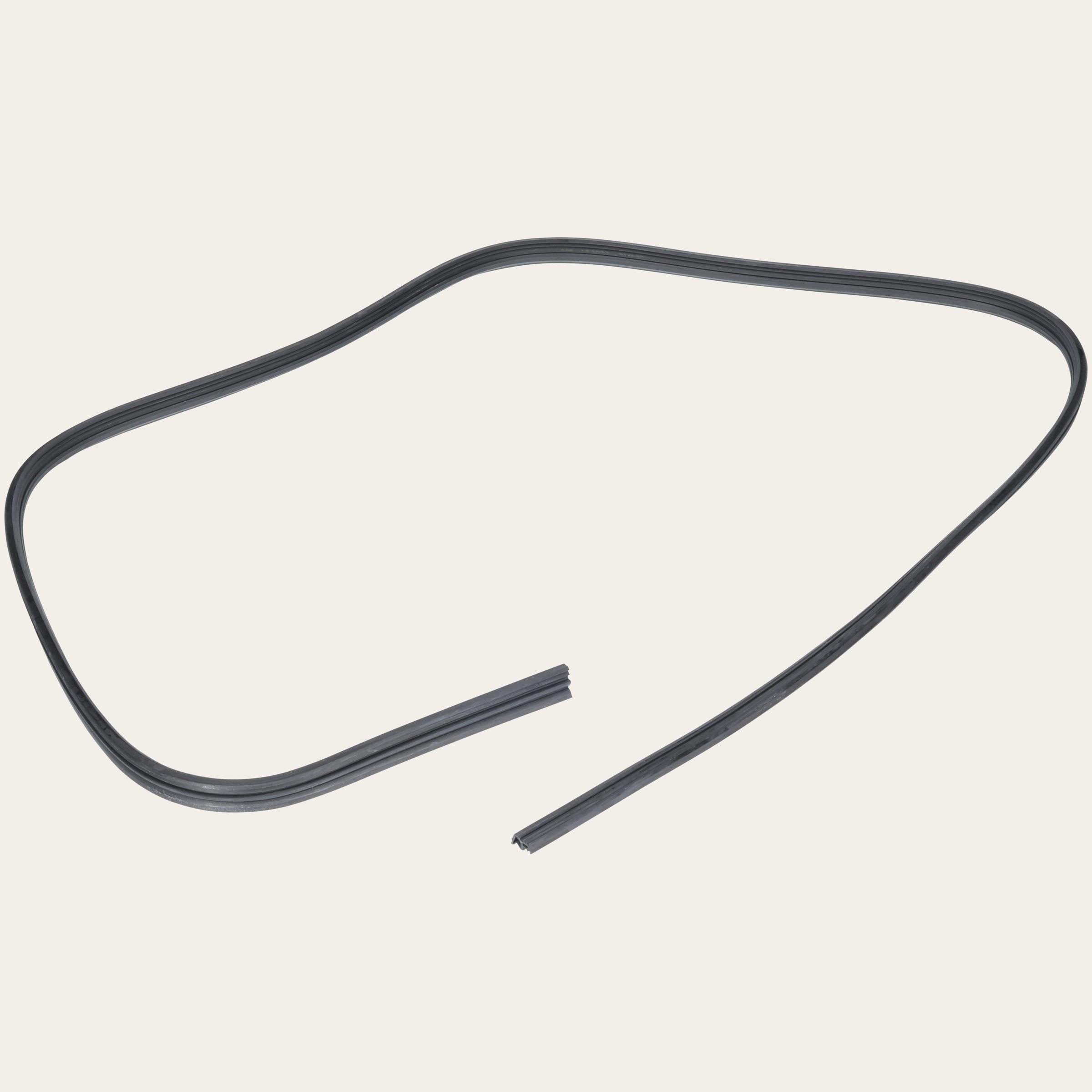 Türdichtung 60 Grossraum