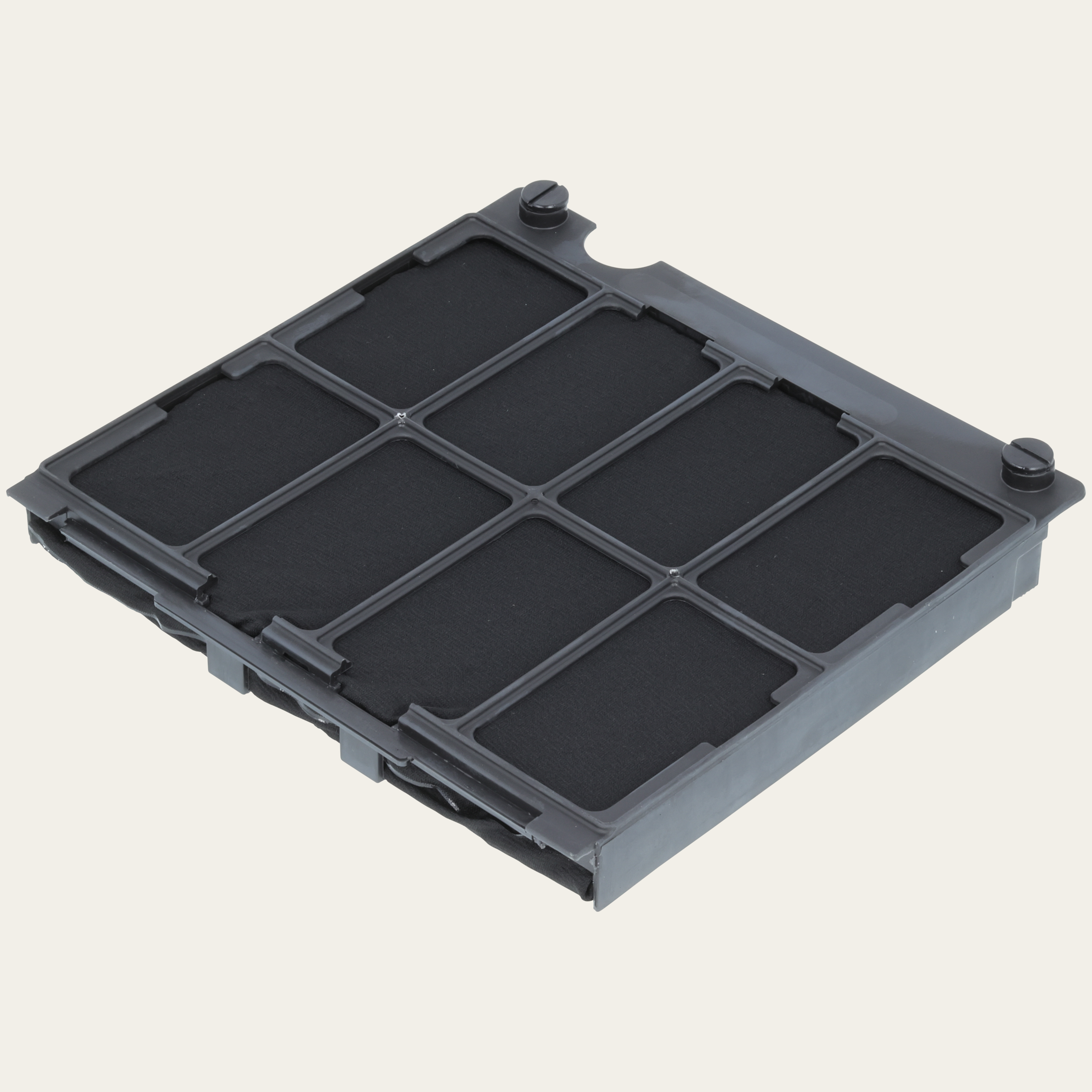 Filtre à charbon actif Longlife pour DW/DI-SE, RG