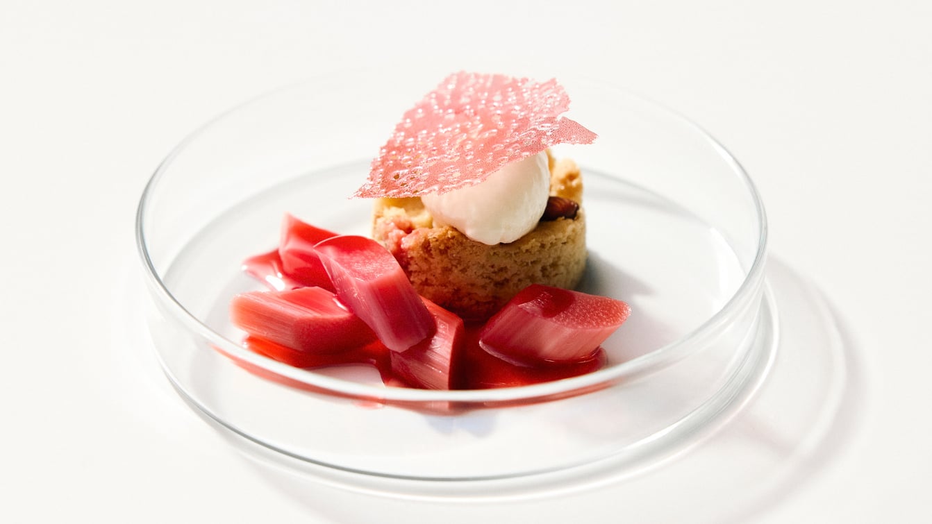 Almond Cake with Ricotta Ice Cream and Rhubarb