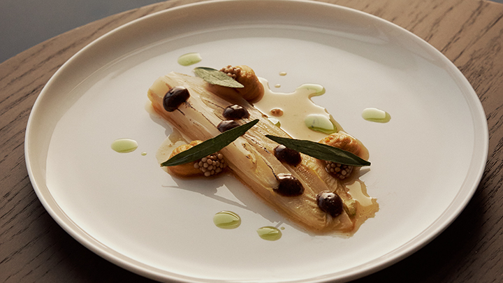Vacuisine chicory with pumpkin hummus and tarragon
