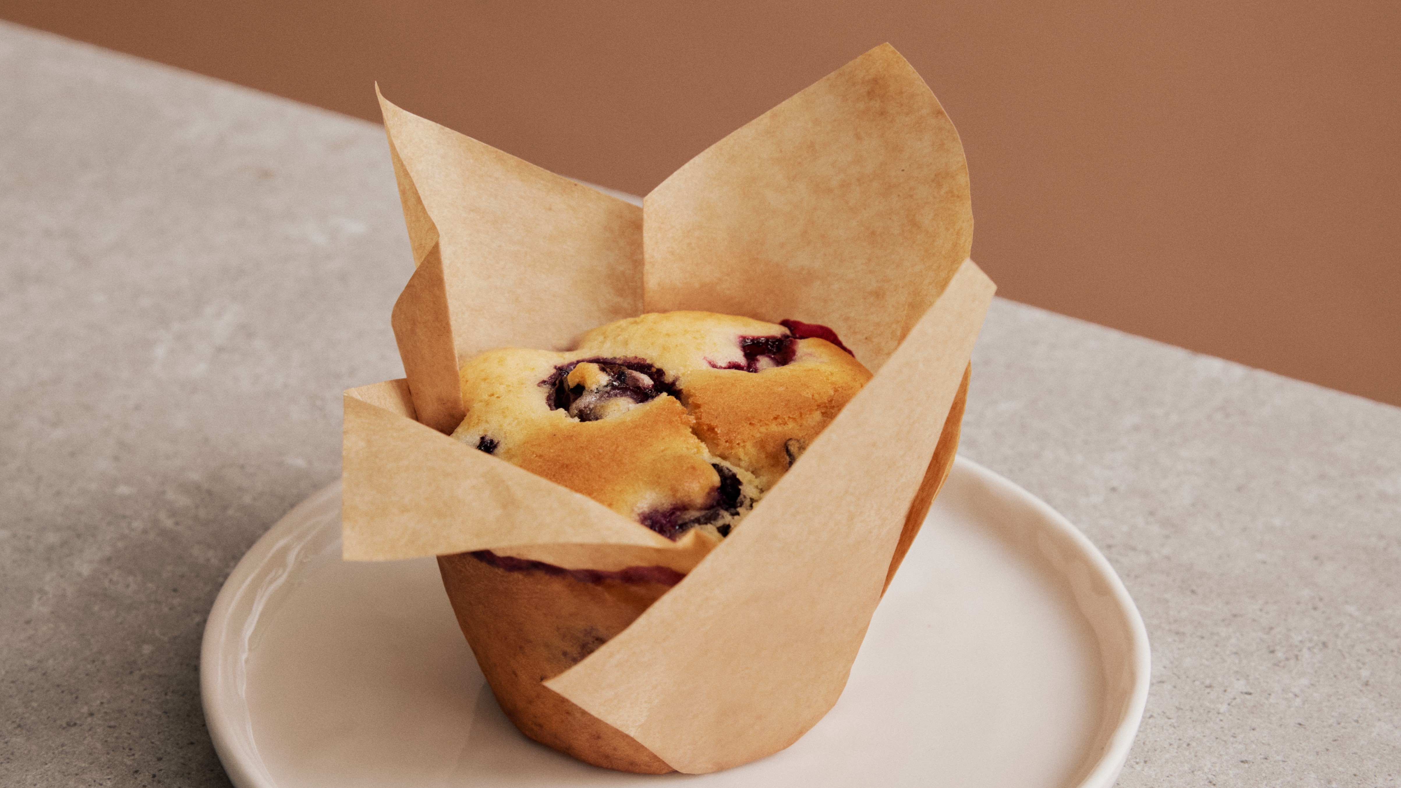 Blueberry muffins