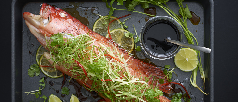 Steamed coral trout with ginger